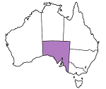 Best South Australia Casinos