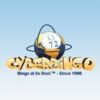 Cyber Bingo Casino Review 2025