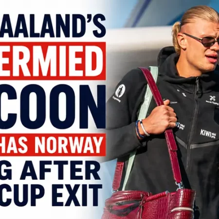 Erling Haaland’s Taxidermied Raccoon Souvenir Has Norway Talking After World Cup Exit